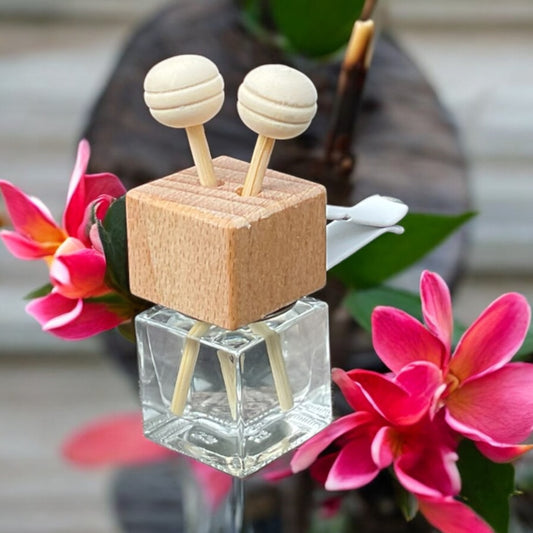 Hawaiian Lei Air Conditioner Clip