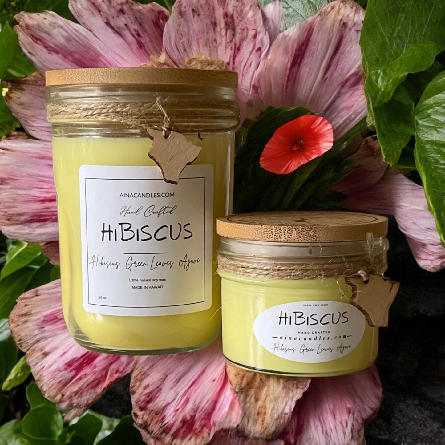 Hibiscus 16oz Jar Candle