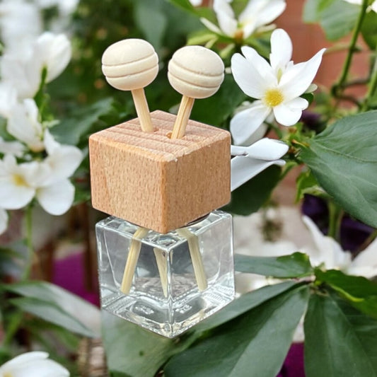 Pikake Air Conditioner Clip