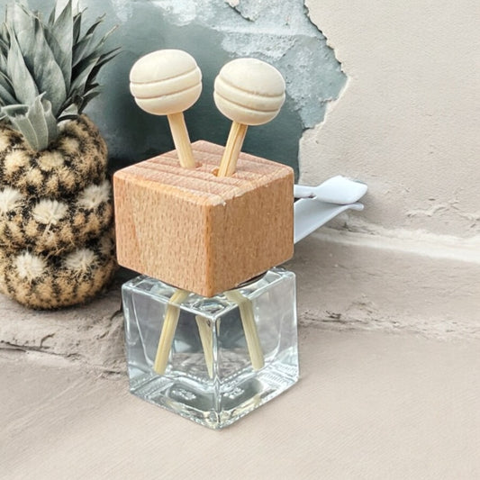 Pineapple Sage Air Conditioner Clip