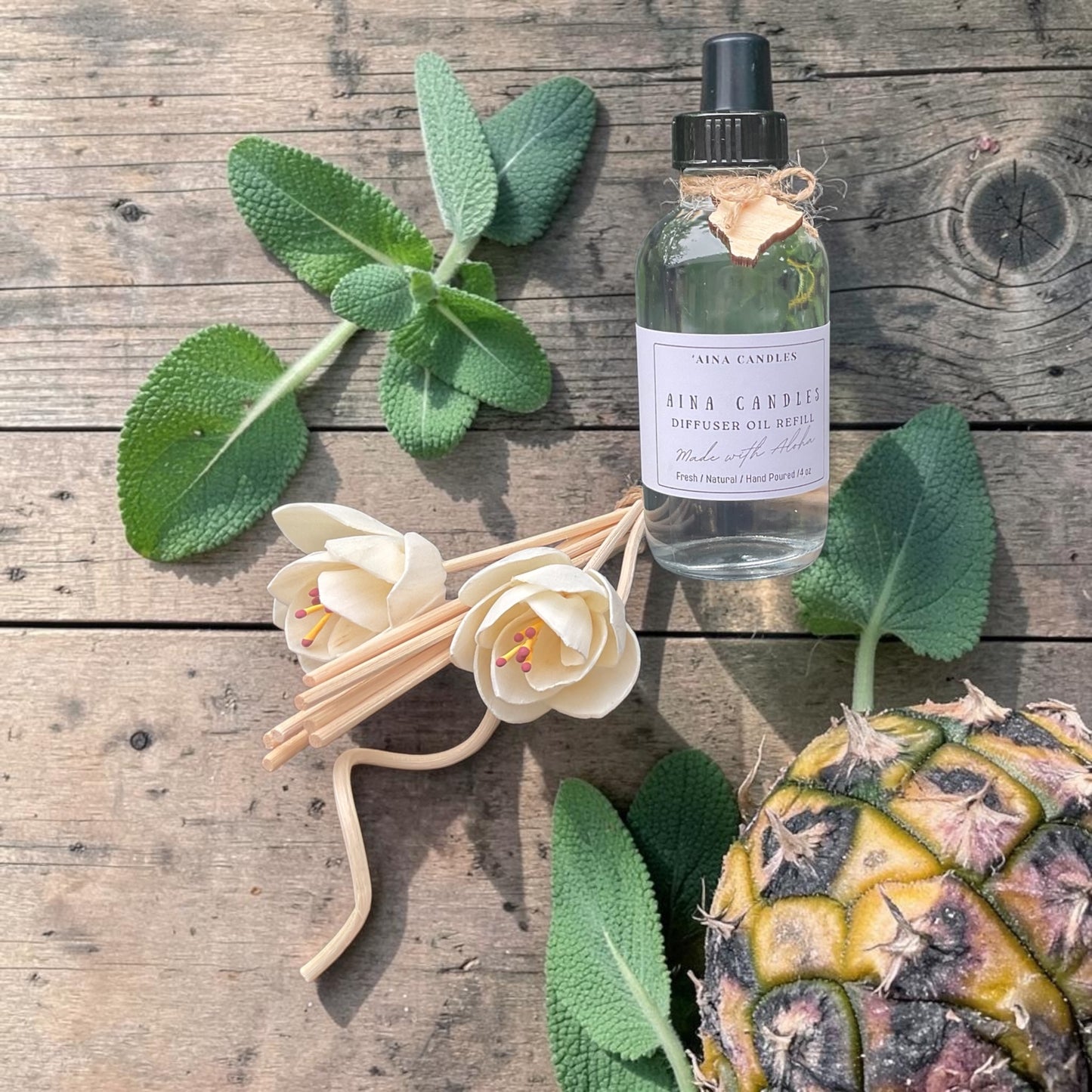 Pineapple Sage