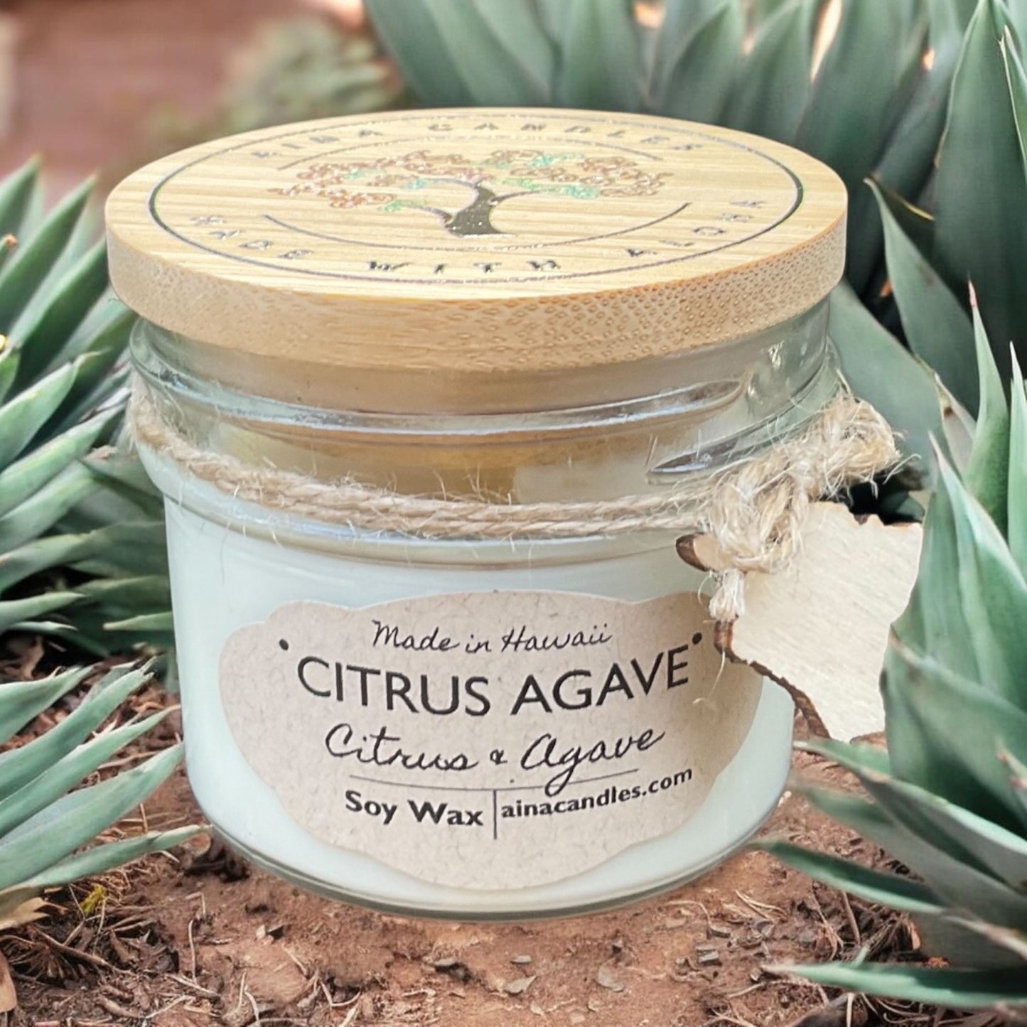 Citrus Agave