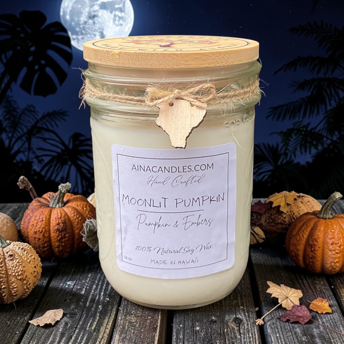 16oz Moonlit Pumpkin Mason