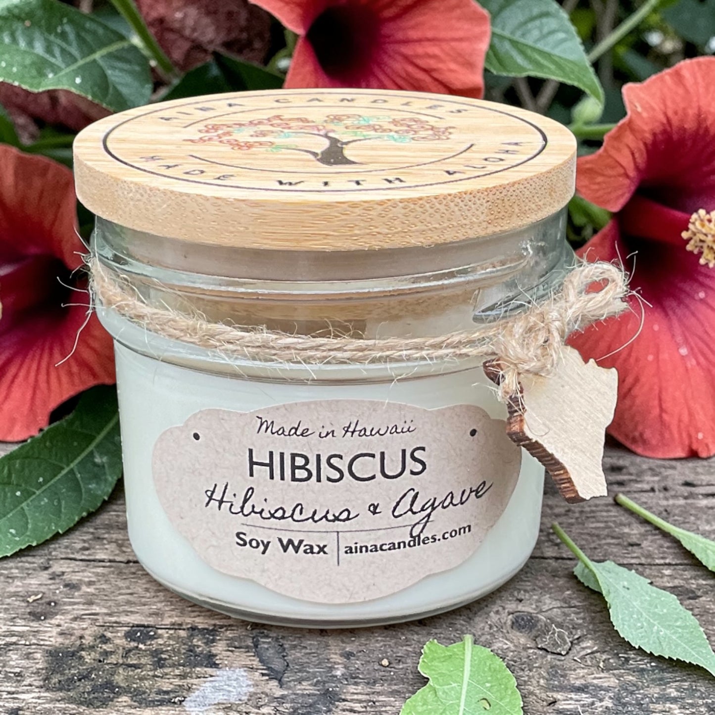Hibiscus