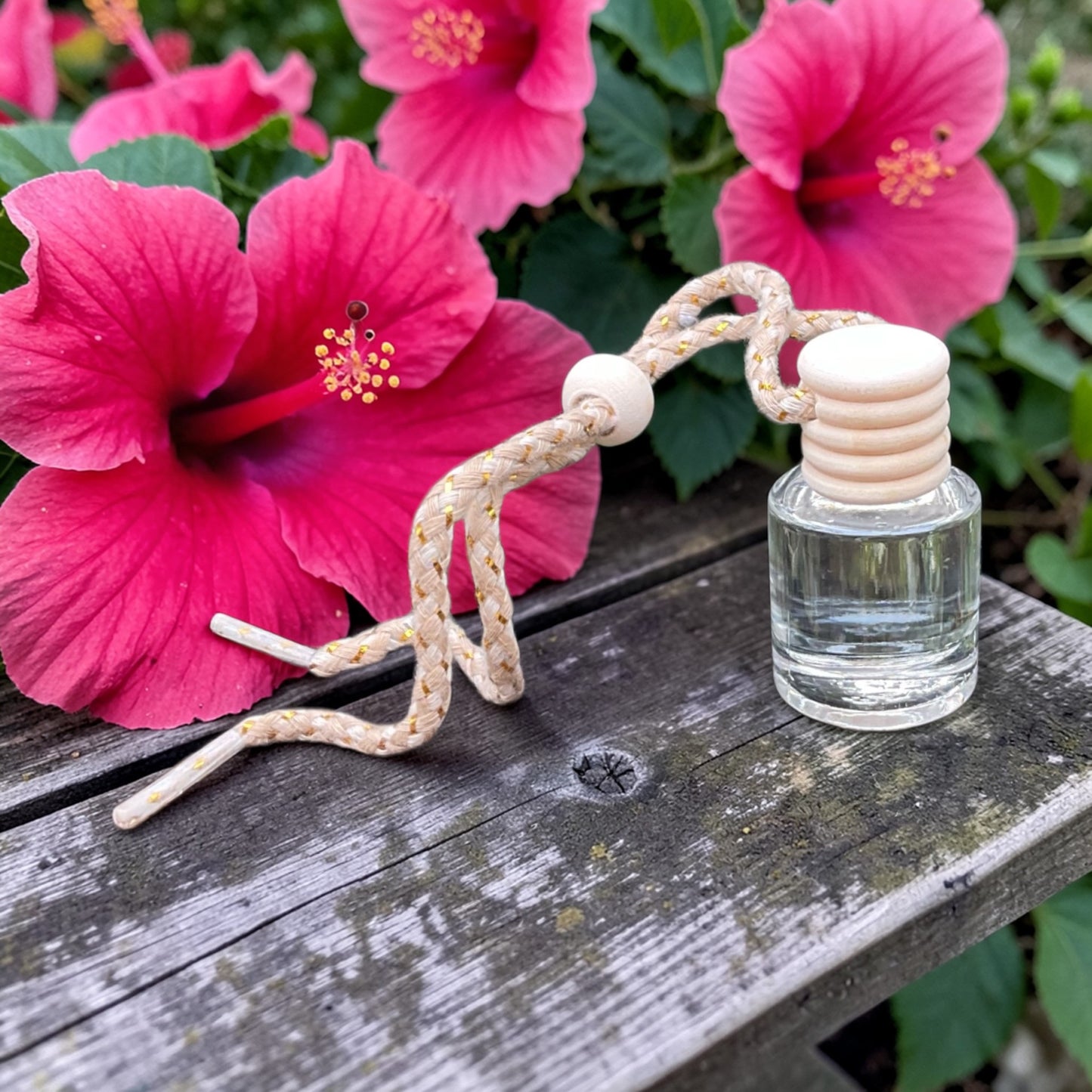 Hibiscus