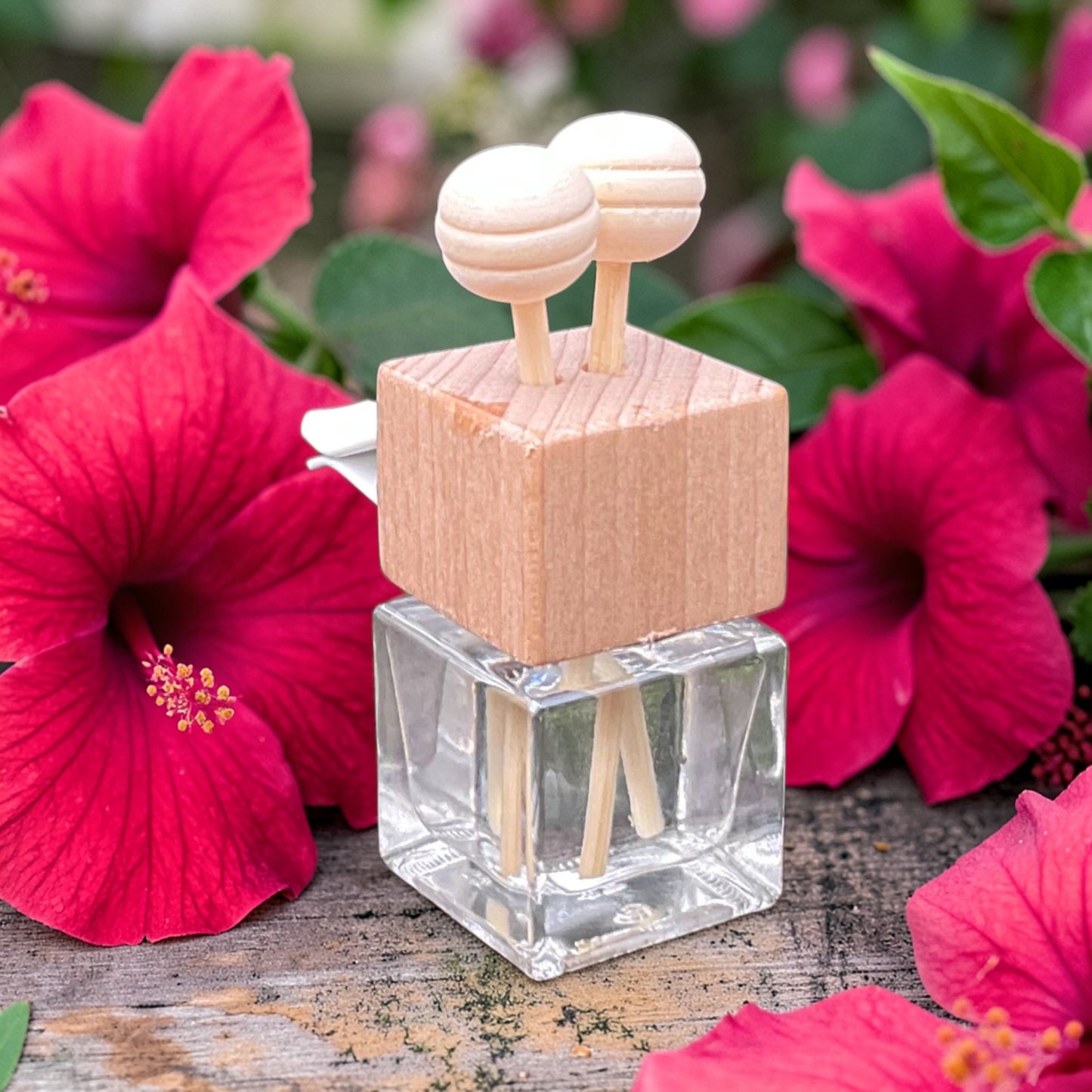 Hibiscus