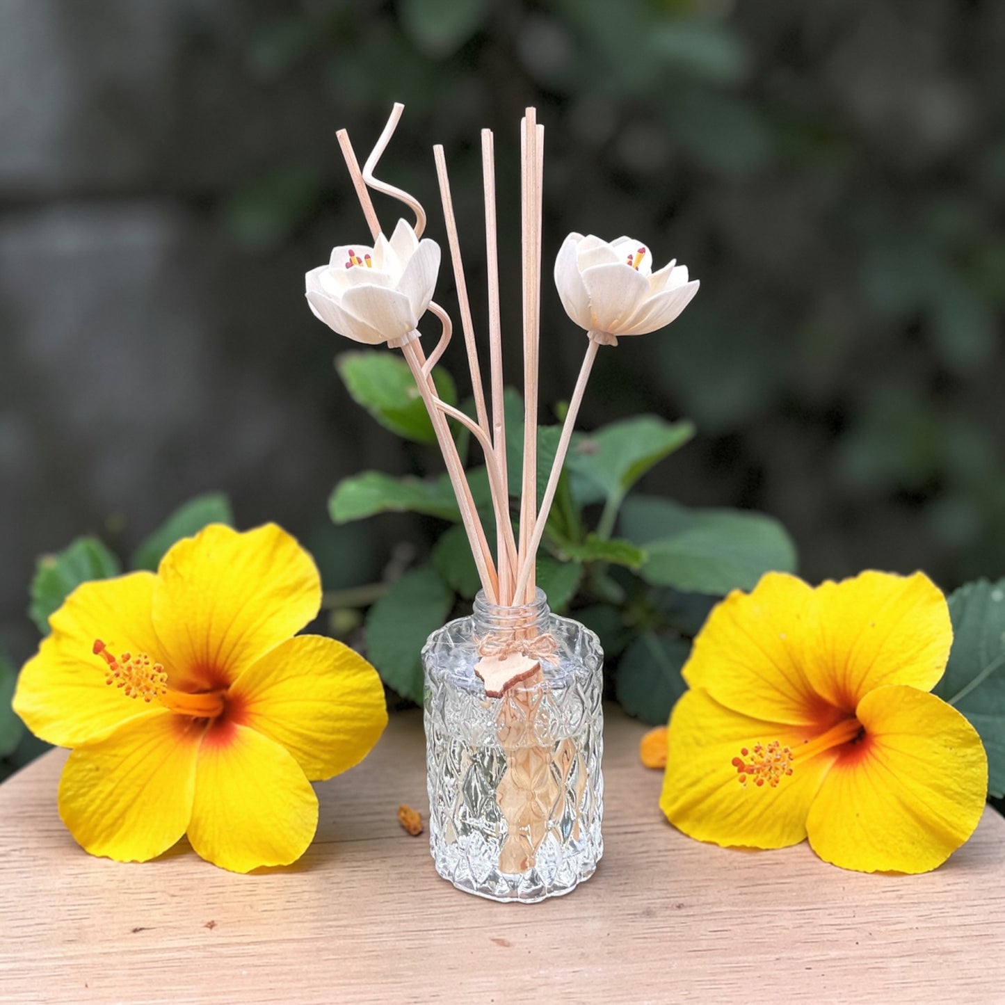 Hibiscus