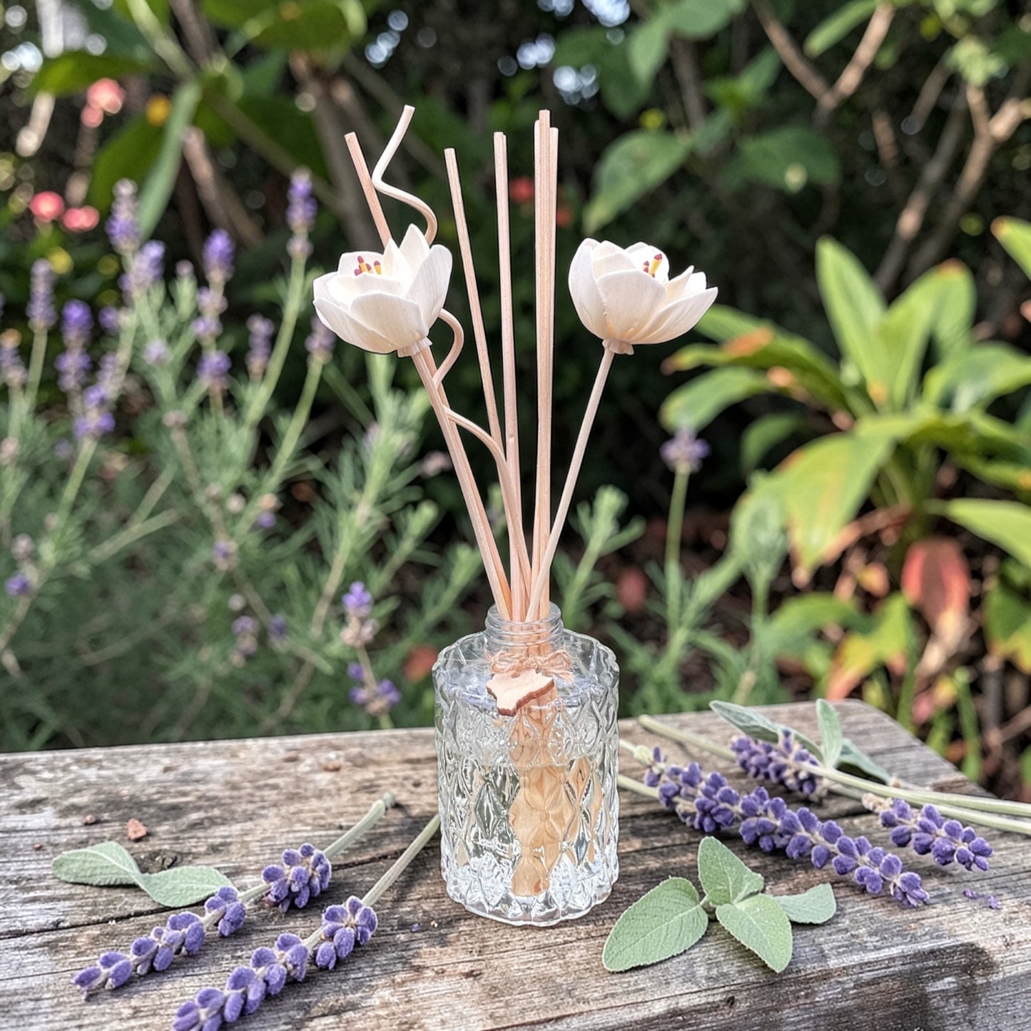 Lavender