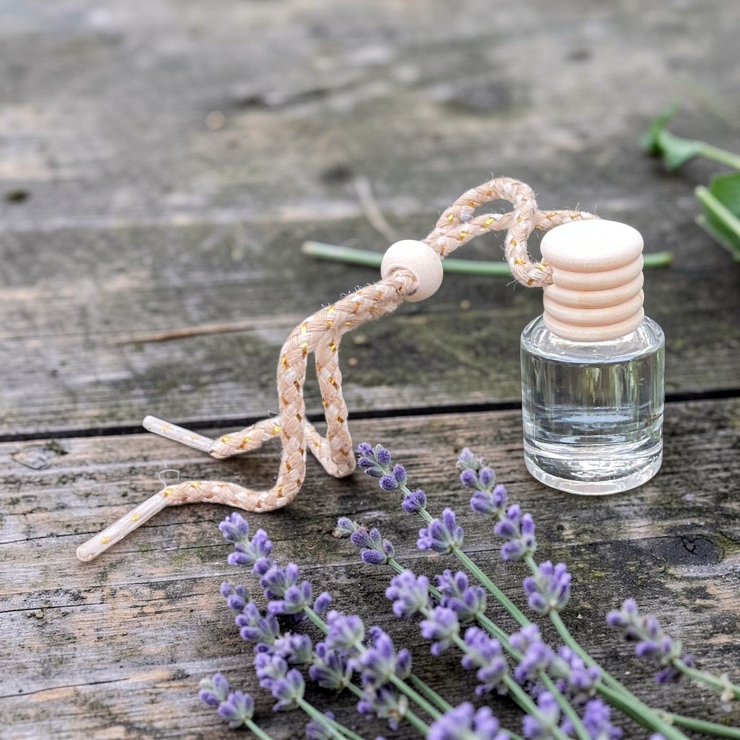 Lavender