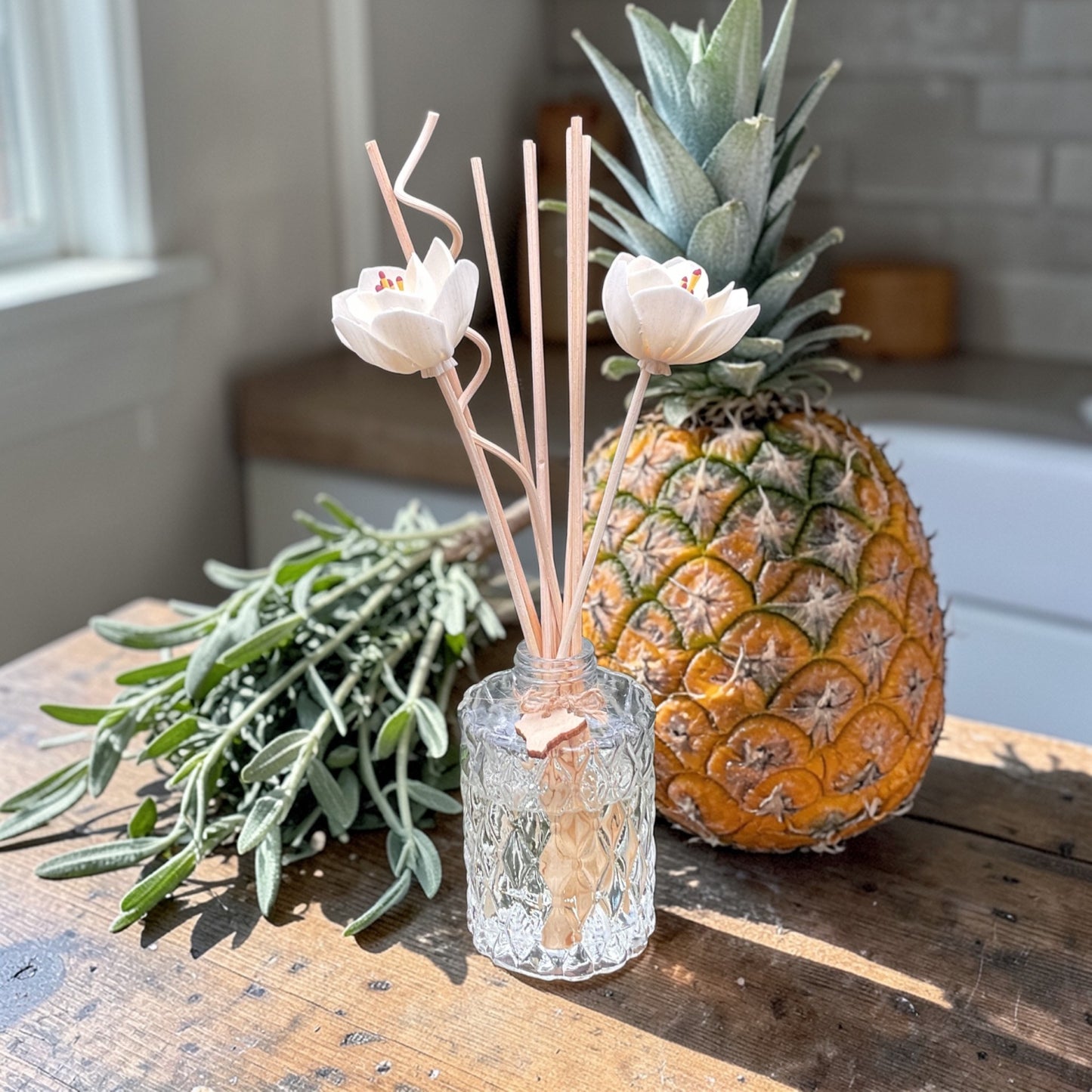 Pineapple Sage
